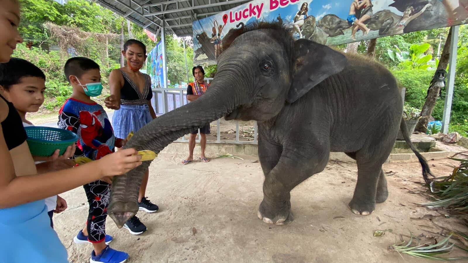 Smartphone-Landscape-1600x900 Smartphone-Landscape-1600x900