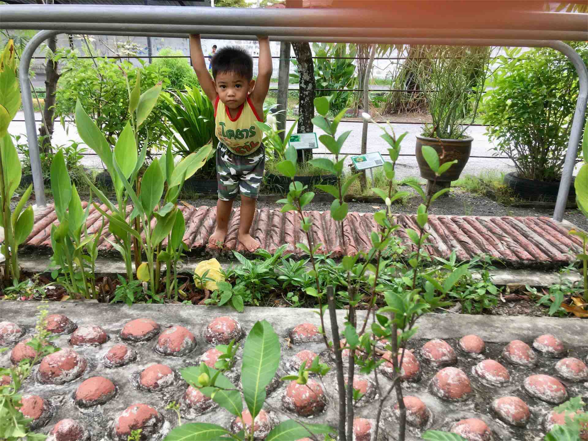 Test-Landscape Test-Landscape